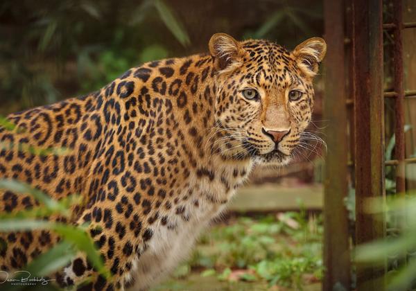 Zoo-Hannover_26.09.2021