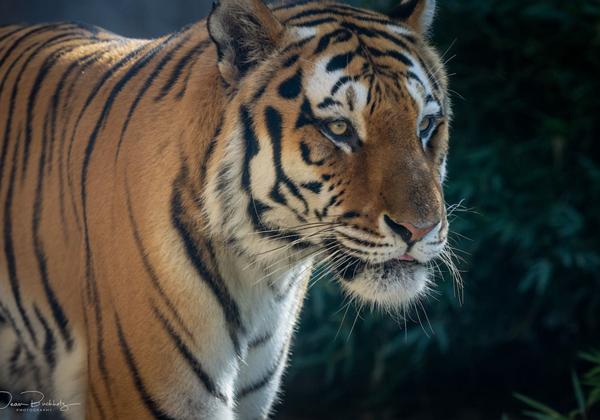 Zoo-Hannover_04.09.2022