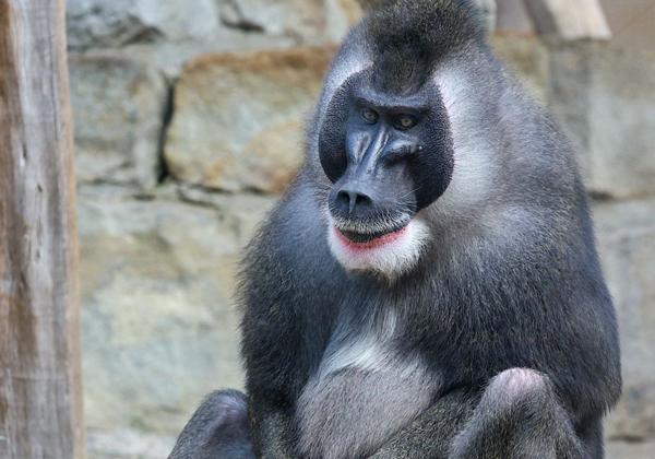 Zoo-Hannover_14.05.2022