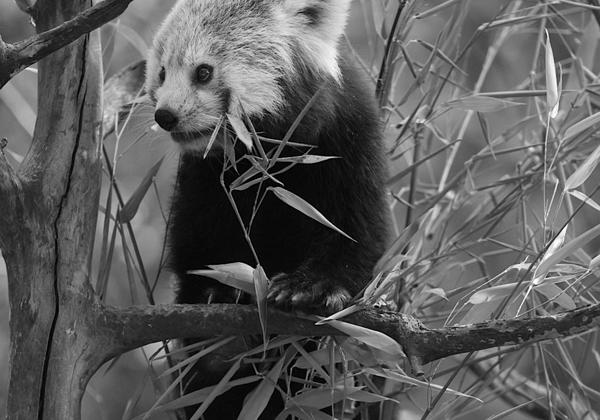 Zoo-Hannover_14.08.2022
