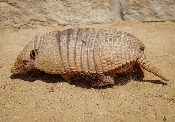 Zoo-Hannover_28.05.2023