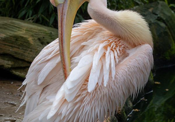 Zoo-Hannover_23.03.2024