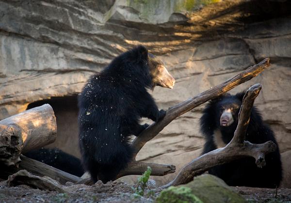 Zoo-Leipzig_03.12.2016