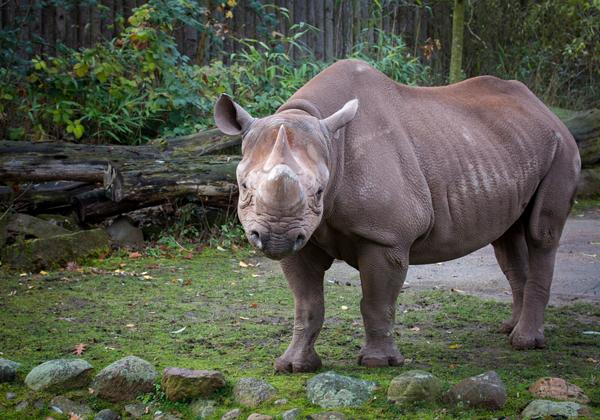 Zoo-Magdeburg_20.11.2016