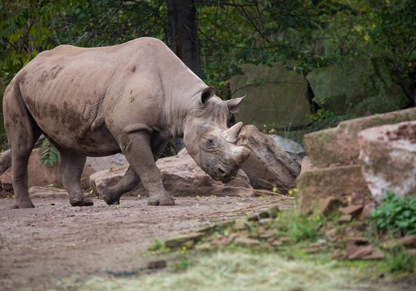 Zoo-Magdeburg_23.10.2016