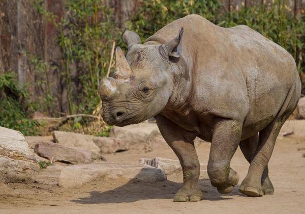 Zoo-Magdeburg_01.05.2017