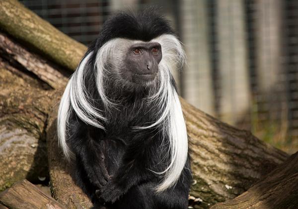 Zoo-Magdeburg_05.03.2017