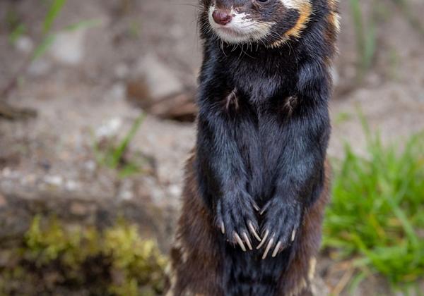 Zoo-Magdeburg_24.04.2021