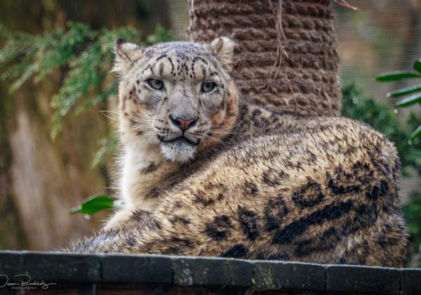 Zoo-Magdeburg_01.04.2023