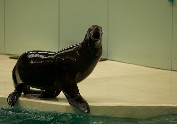 Zoo-Muenster_31.07.2012