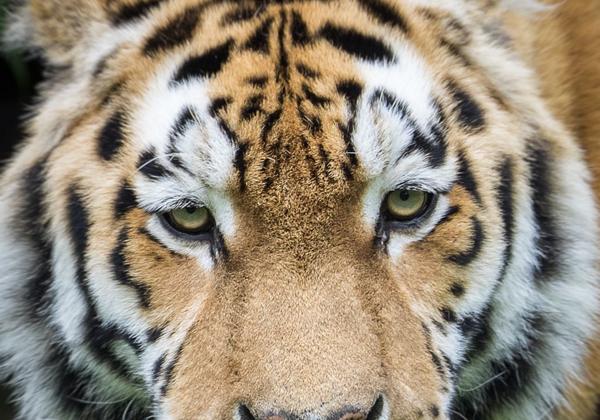 Zoo-Muenster_06.04.2015