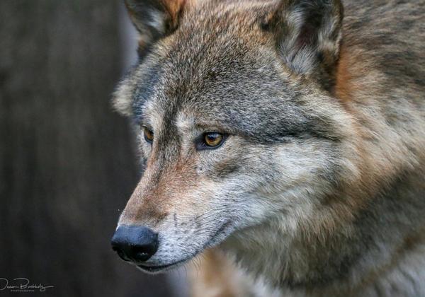 Zoo-Muenster_09.02.2019