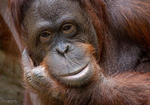 Zoo-Muenster_10.07.2021