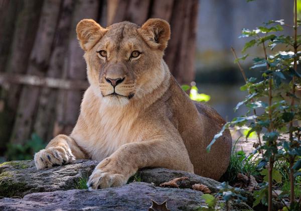 Zoo-Muenster_16.09.2023