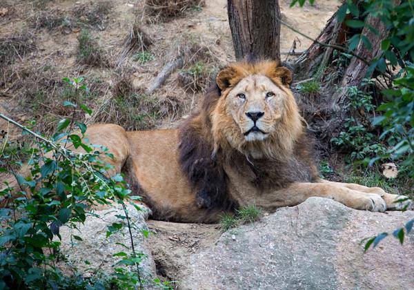 Zoo-Osnabrueck_15.10.2016