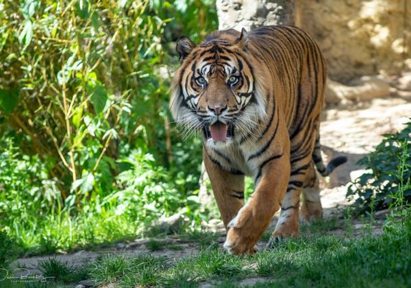 Zoo-Osnabrueck_07.05.2020