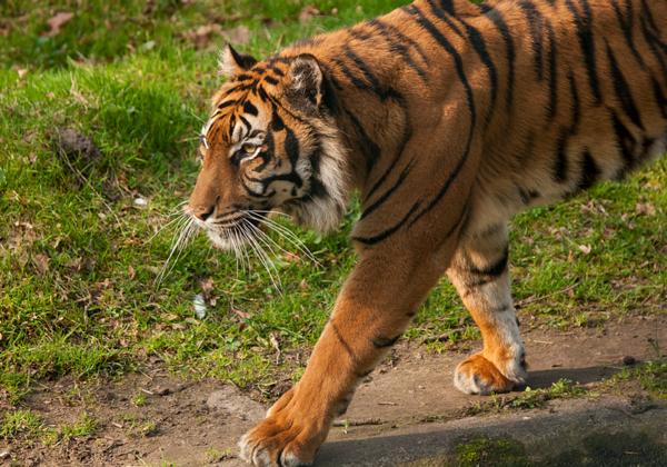 Zoo-Rheine_01.04.2017