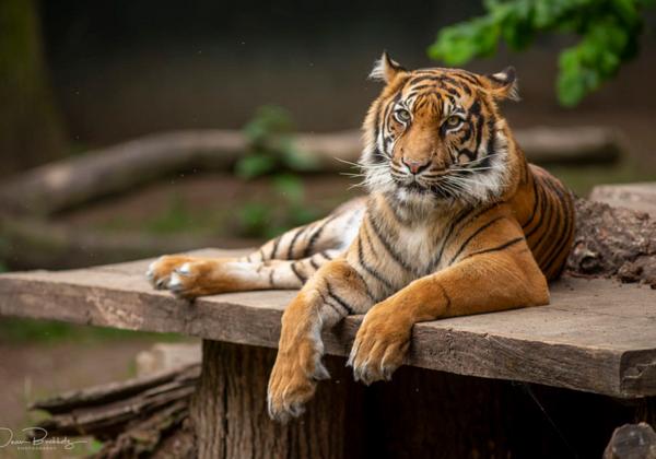 Zoo-Rheine_23.05.2020