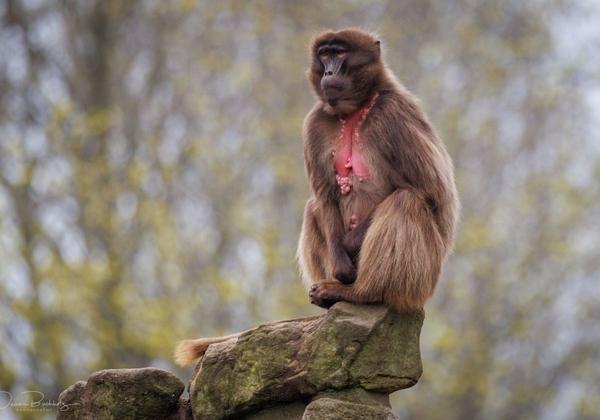 Zoo-Rheine_08.04.2023