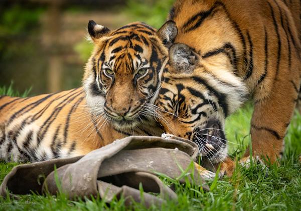 Zoo-Rheine_13.04.2024