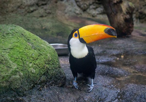 Zoo-Rotterdam_28.12.2016