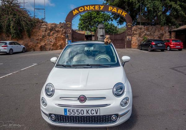 monkey-park_Teneriffa_28.07.2019