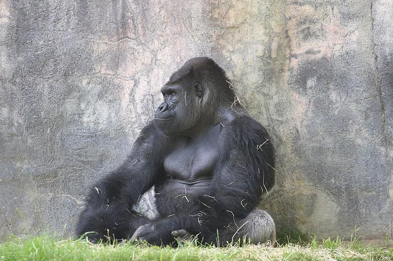 001_Fort_Worth_Zoo