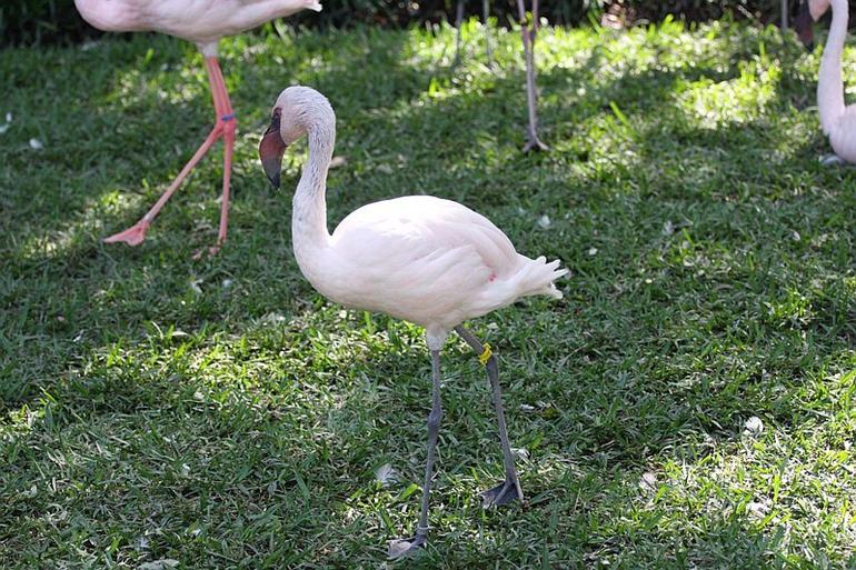 011_Fort_Worth_Zoo