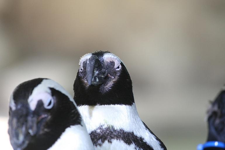 124_Fort_Worth_Zoo