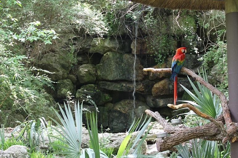 134_Fort_Worth_Zoo