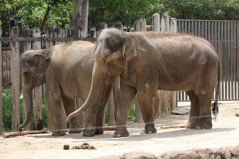 208_Fort_Worth_Zoo