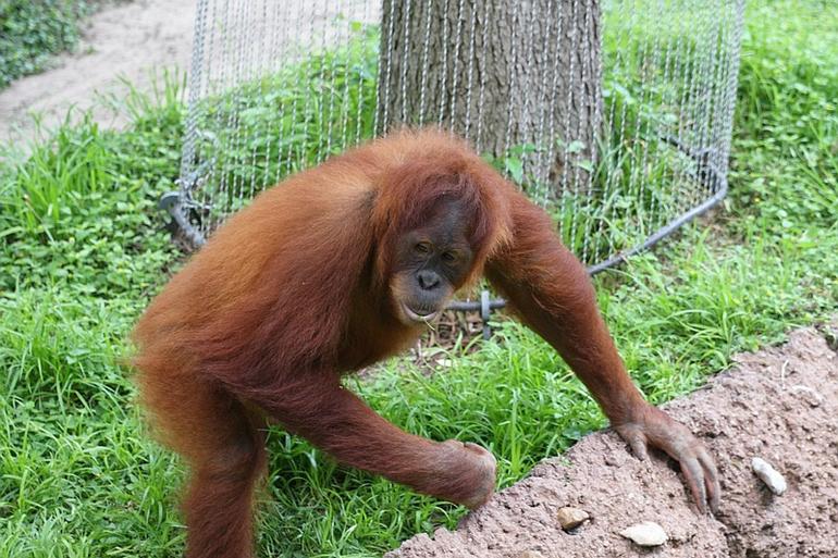 246_Fort_Worth_Zoo