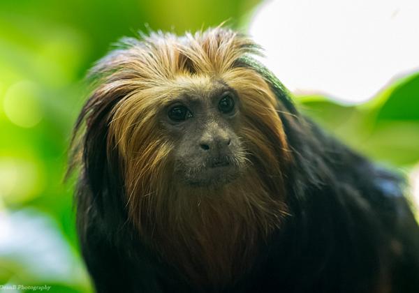 Zoo-Wuppertal_26.03.2016