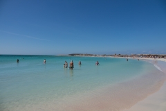 dsc06180