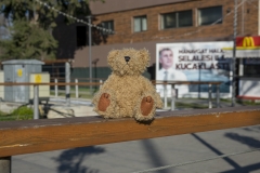 dsc00588_900