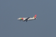 P8100093