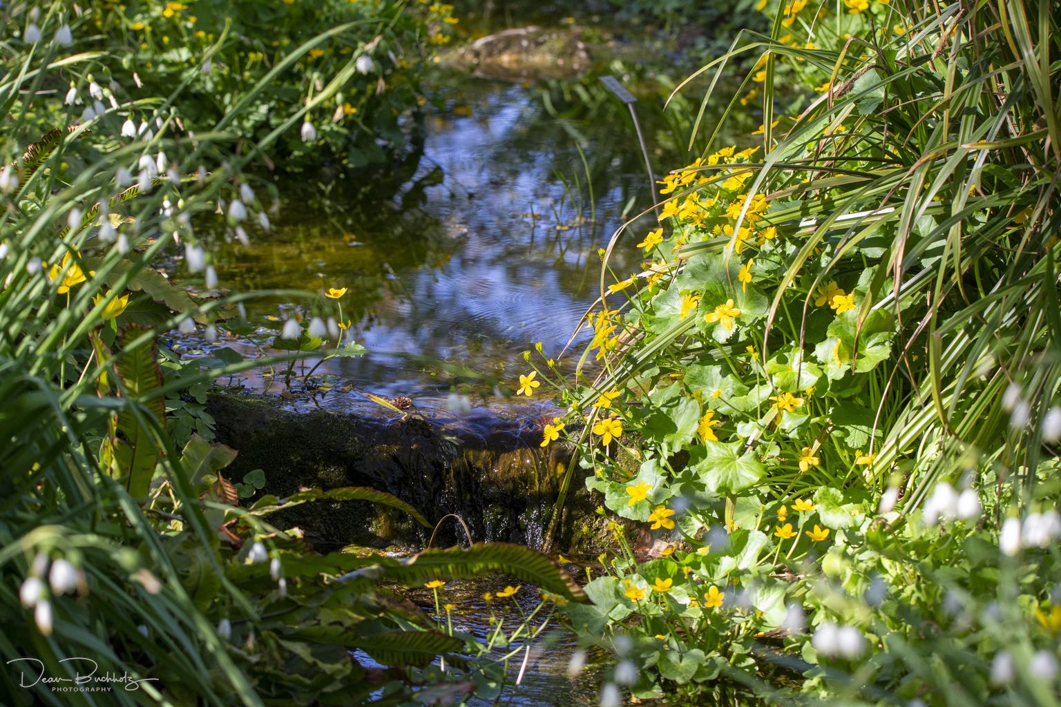 Berggarten Hannover 24.04.2020 DeanB Photography
