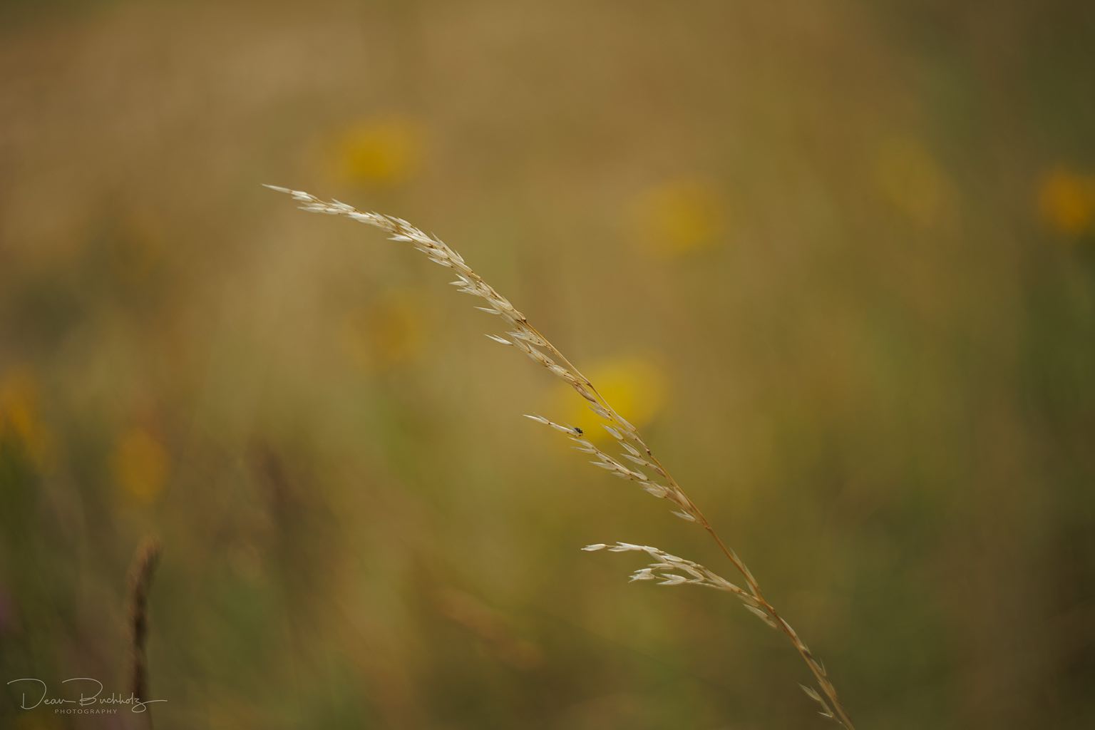 Altglasfotografie 07.07.2025