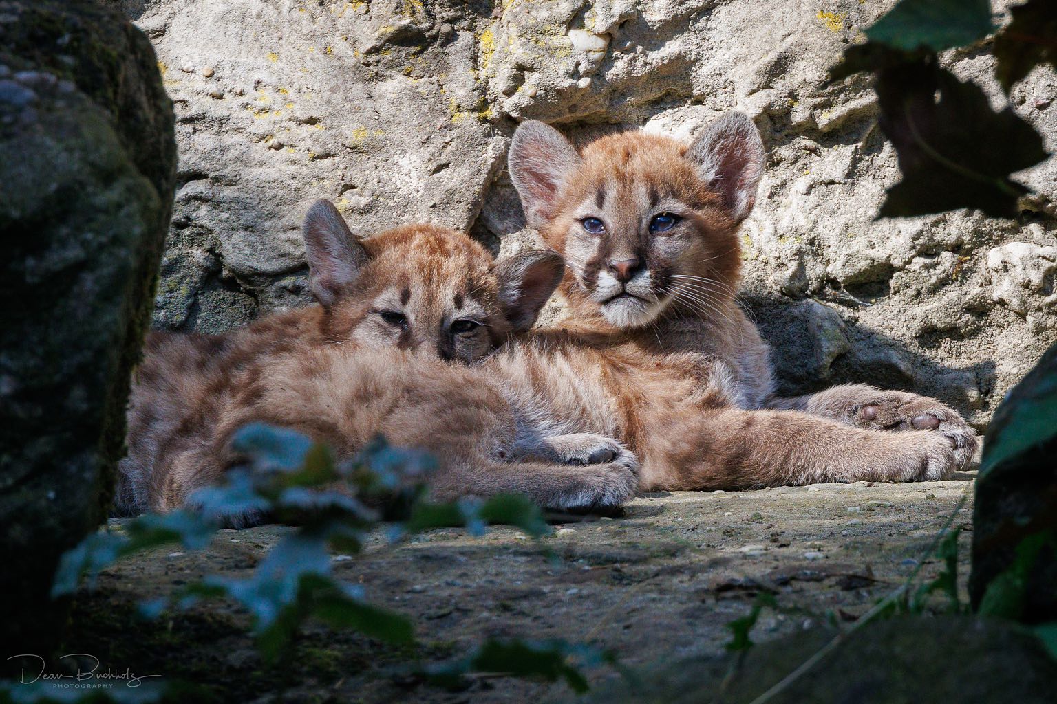 Tierpark Ströhen 12.08.2025