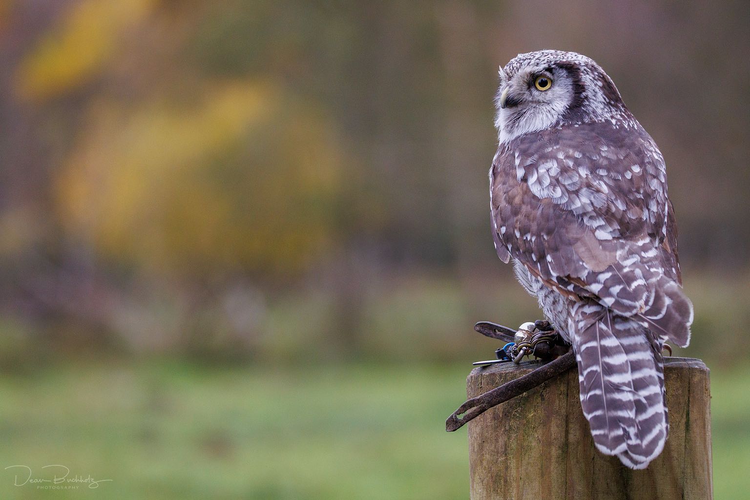 Wildpark Eekholt 01.11.2025