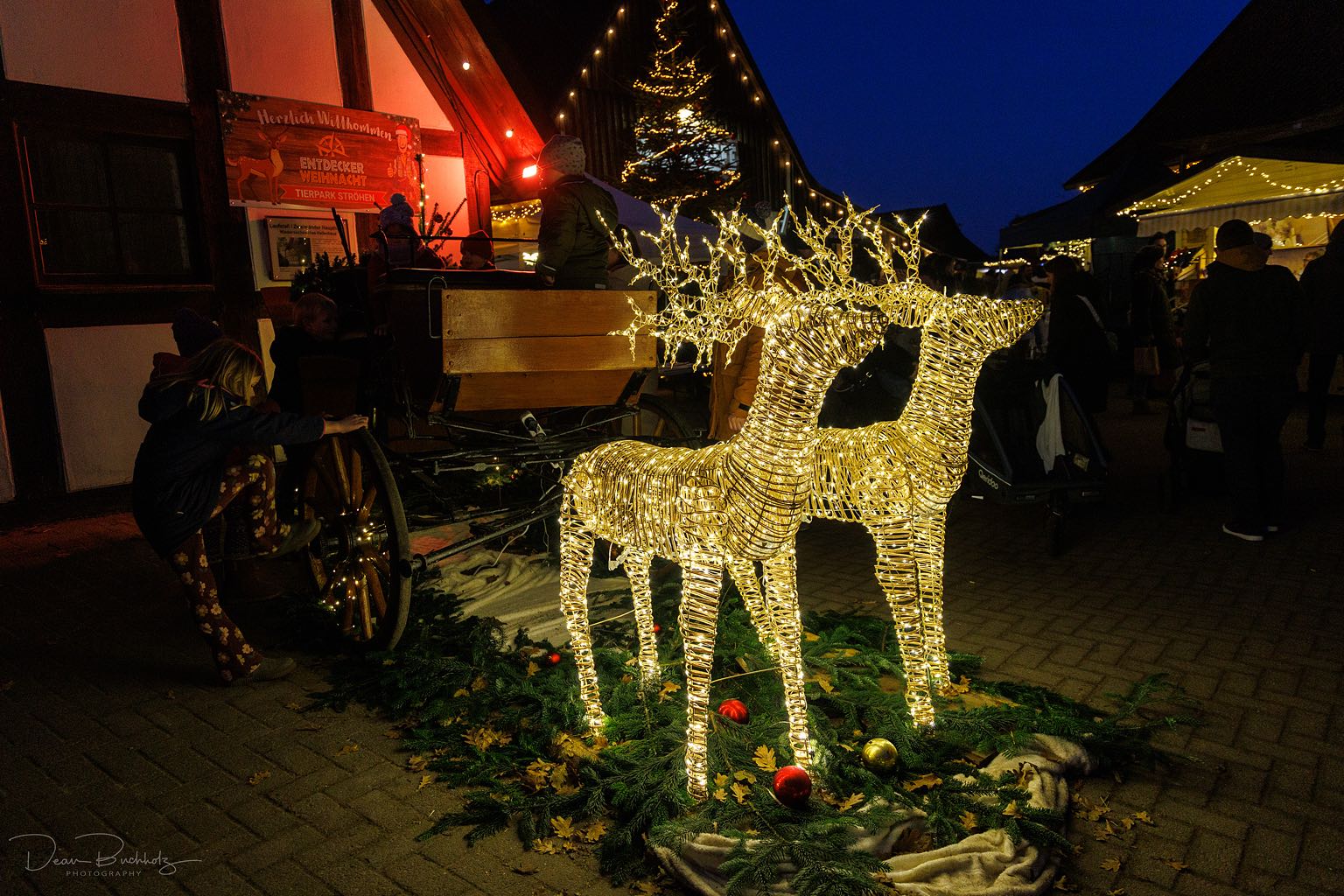 Tierpark und Weihnachtsmarkt in Stroehen 13.12.2025
