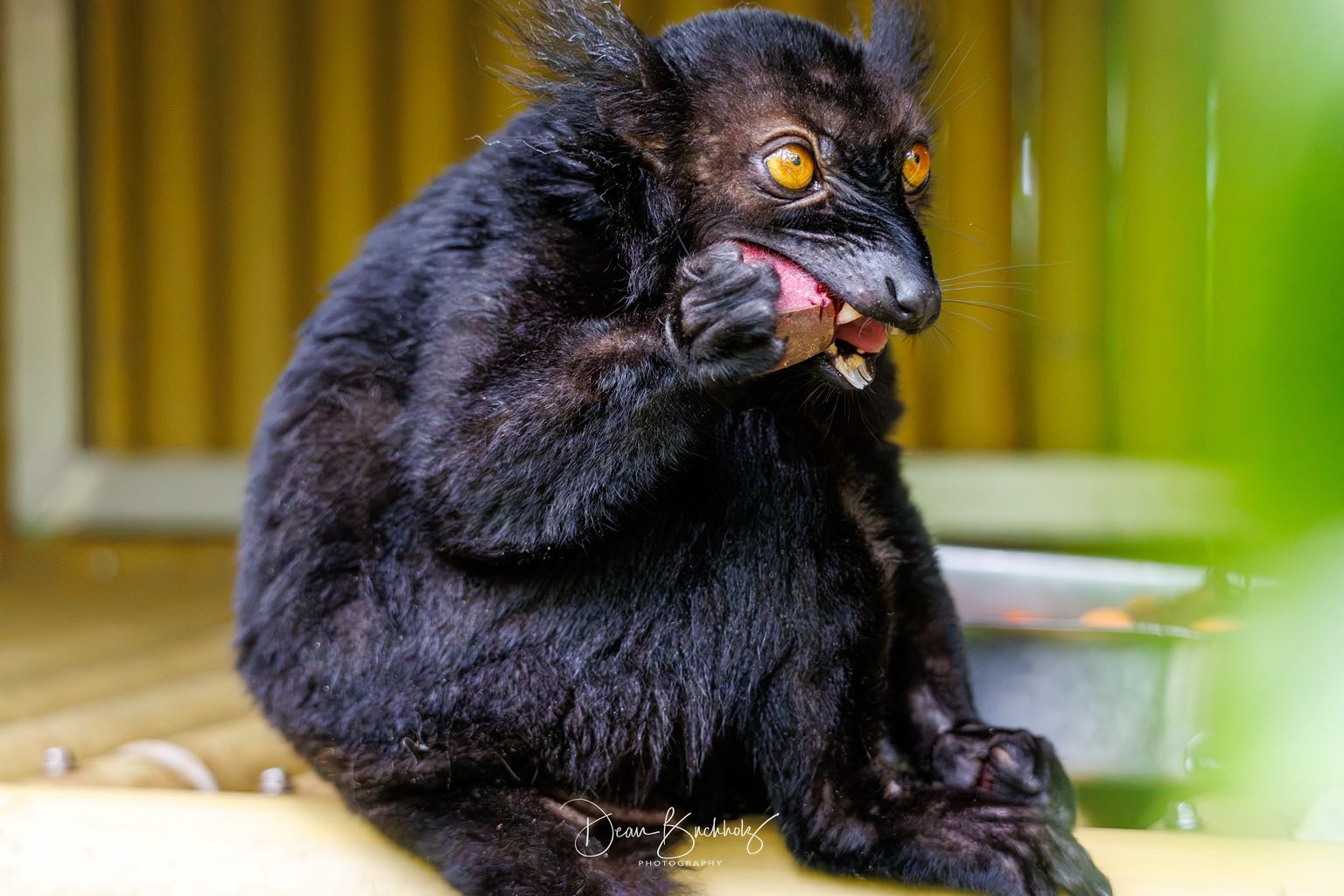 Bildbearbeitung mit ON1 Photo Raw 2026