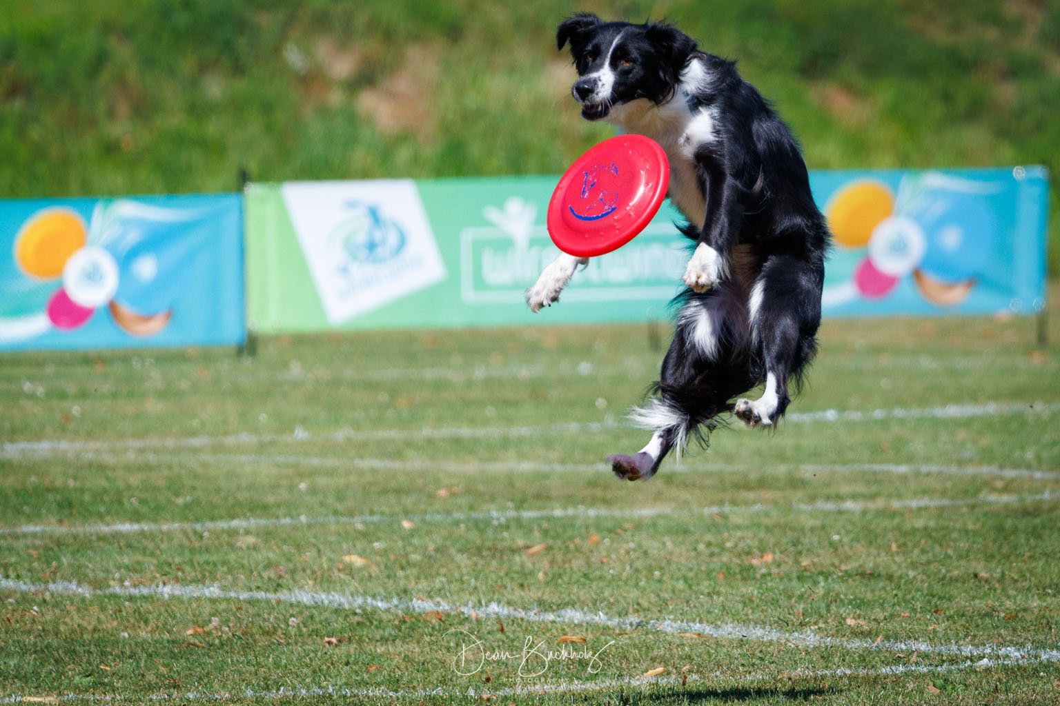 Disc Dogging Turnier Eime 08.08.2026