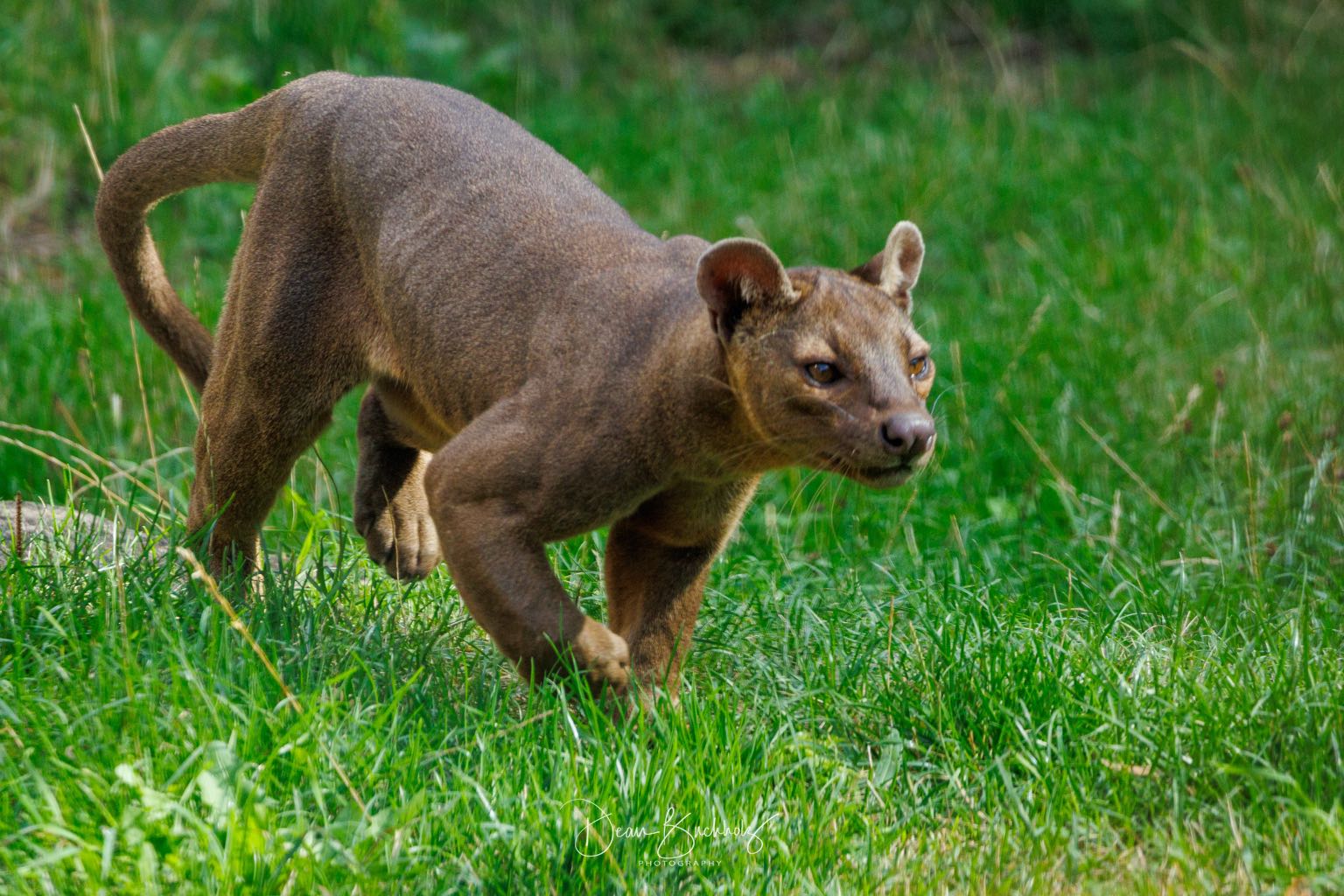 Zoo Erfurt 29.08.2026
