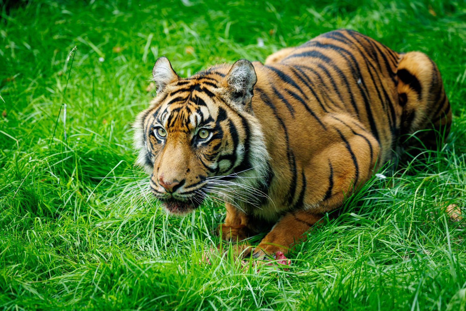 Zoo Rheine 26.09.2026